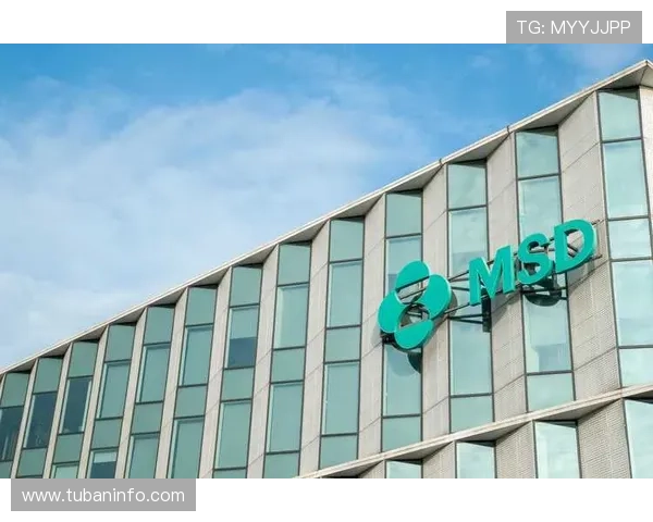 z6尊龙官方网站入口安全可靠，确保用户账号信息安全的最佳途径