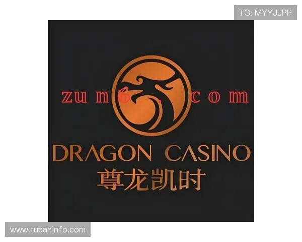 探秘尊龙凯时人生就是博官网登录，揭开游戏背后的秘密与乐趣