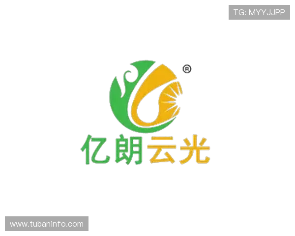 凯时尊龙平台：多平台兼容支持随时随地畅享娱乐时光